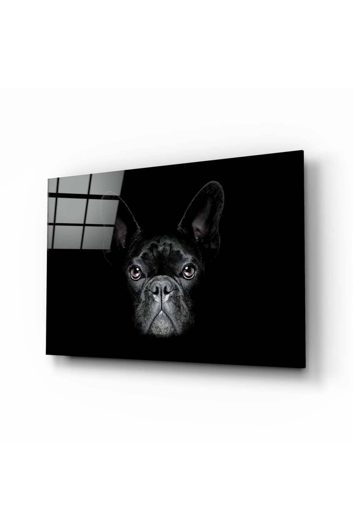 Köpek Cam Tablo | Hediyelik, Dekoratif, Ofis, Mutfak