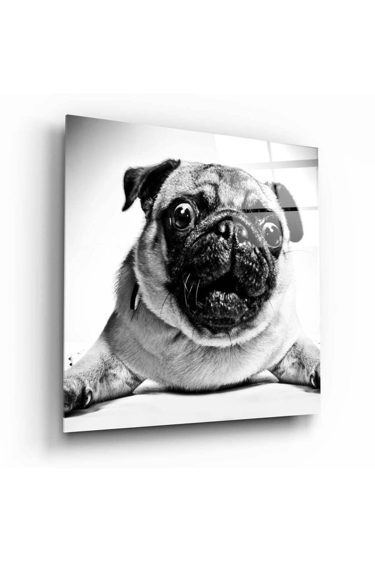 Pug Köpek Cam Tablo No:1043 | Hediyelik, Dekoratif, Ofis, Mutfak