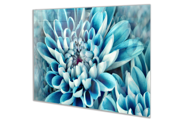 Mutfak Cam Ocak Arkası Koruyucu Tezgah Ankastre Arkası Koruyucu Mavi Lotus