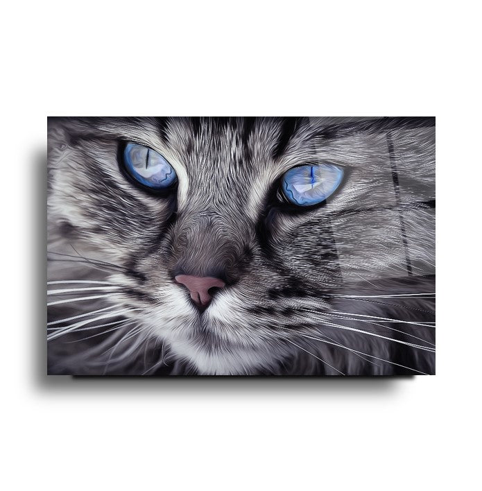 Kedi Cam Tablo
