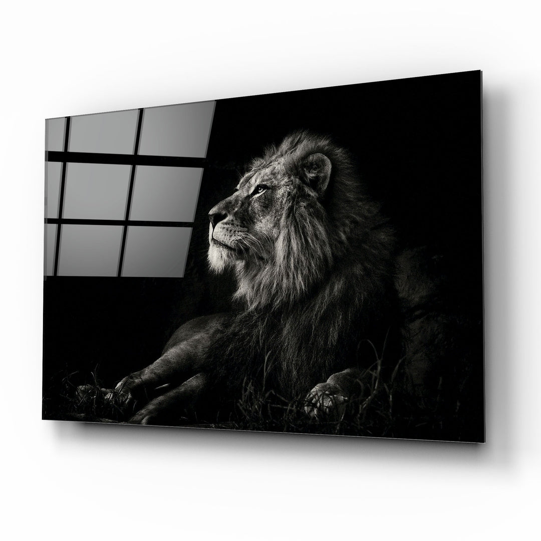 Aslan Cam Tablo