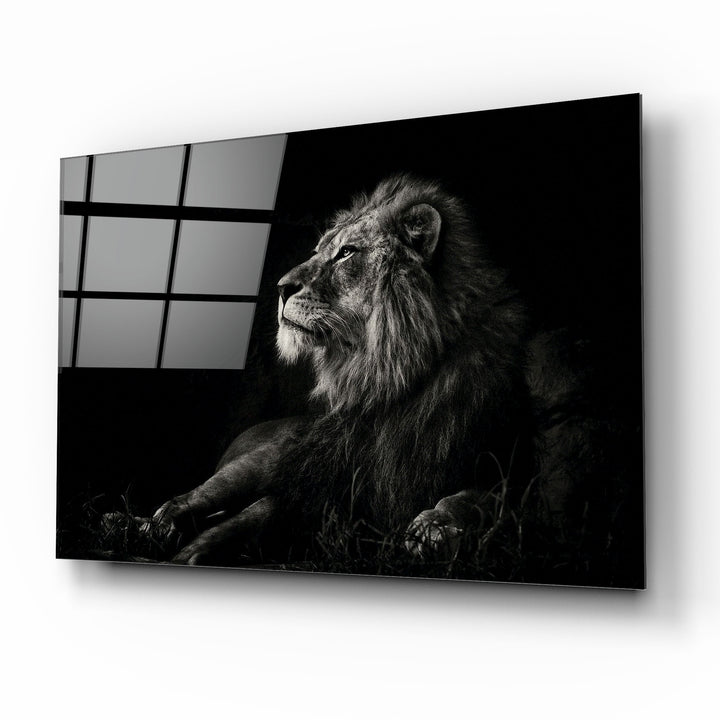 Aslan Cam Tablo