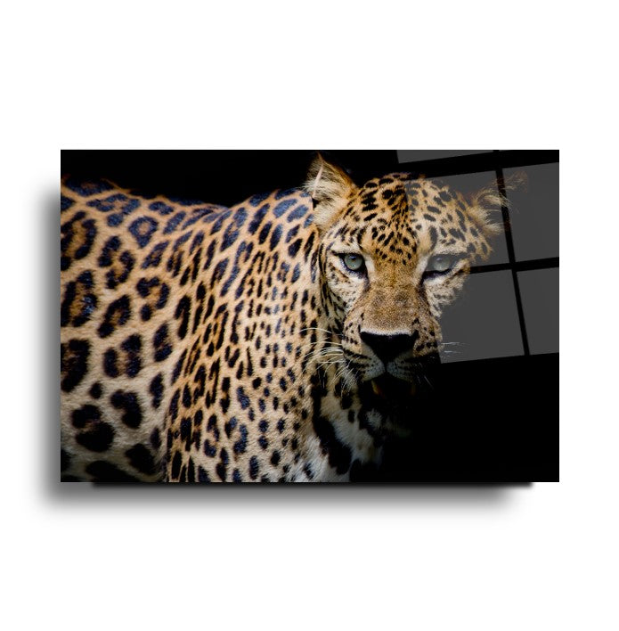 Leopar Cam Tablo