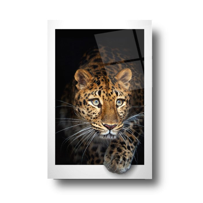Leopar Cam Tablo