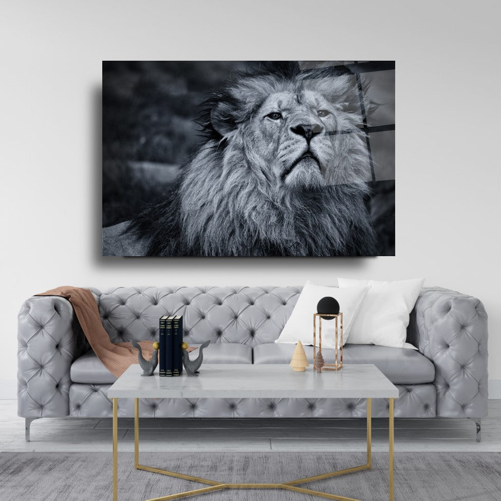 Aslan Cam Tablo