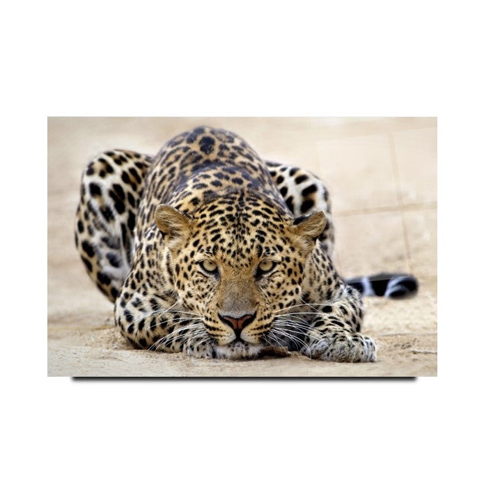 Leopar Cam Tablo
