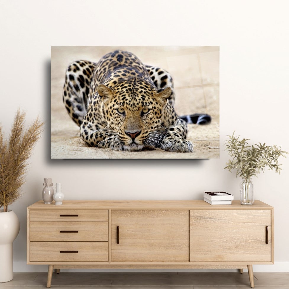 Leopar Cam Tablo