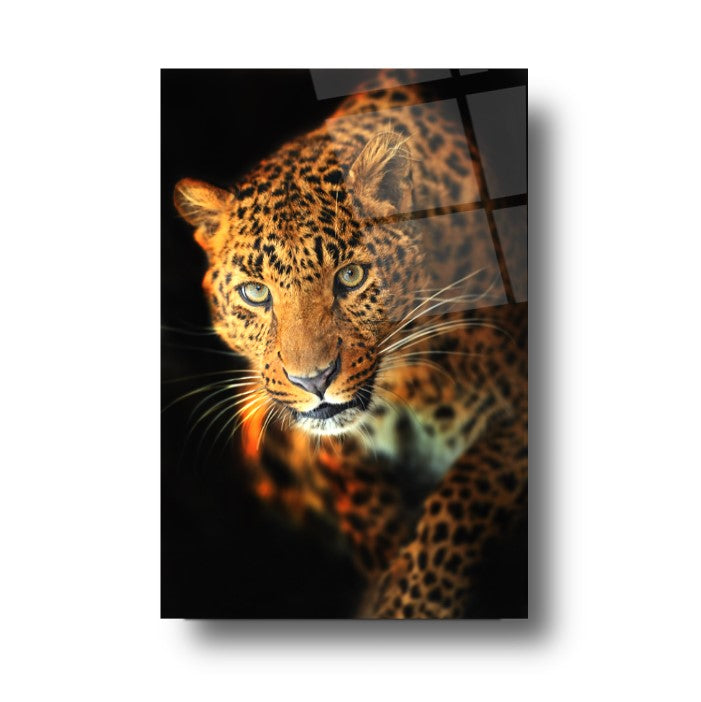 Leopar Cam Tablo