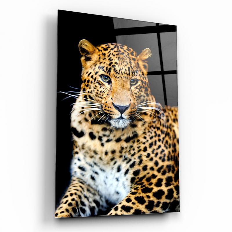 Leopar Cam Tablo