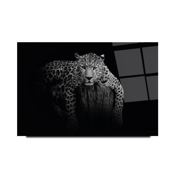 Leopar Cam Tablo