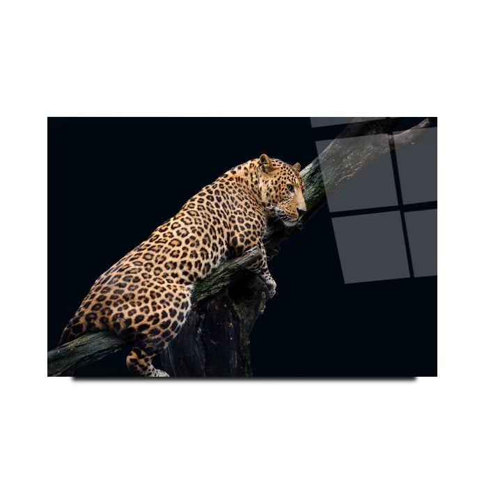Leopar Cam Tablo
