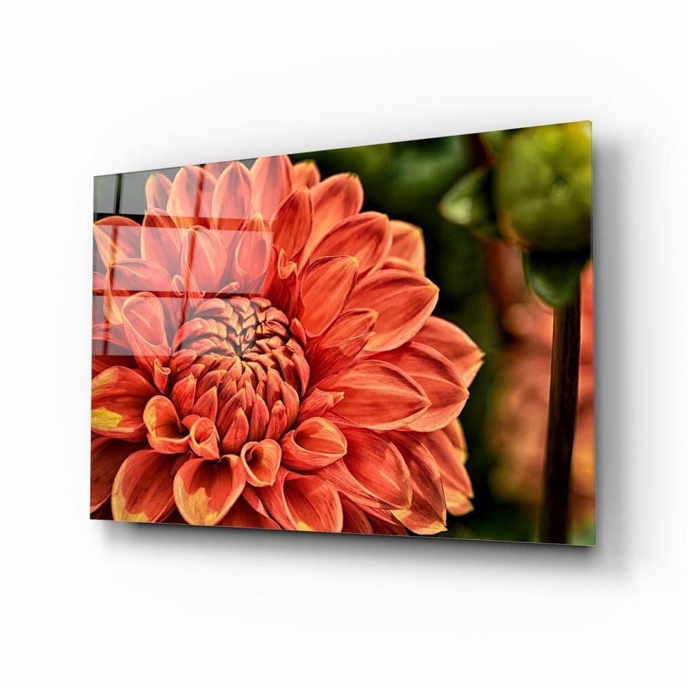 Turuncu Gerbera Cam Tablo
