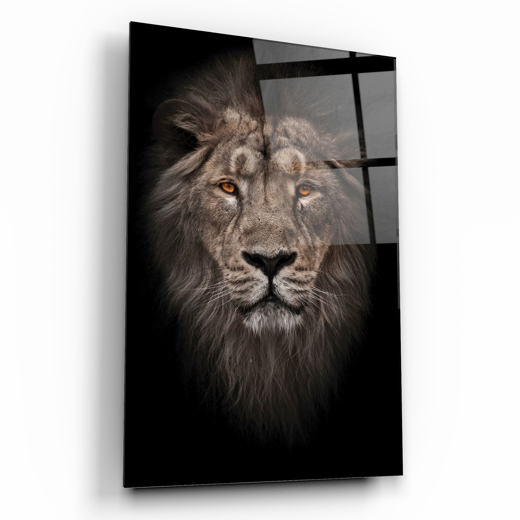 Aslan Cam Tablo