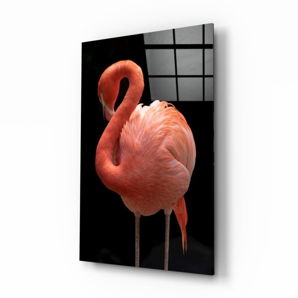 Flamingo Cam Tablo
