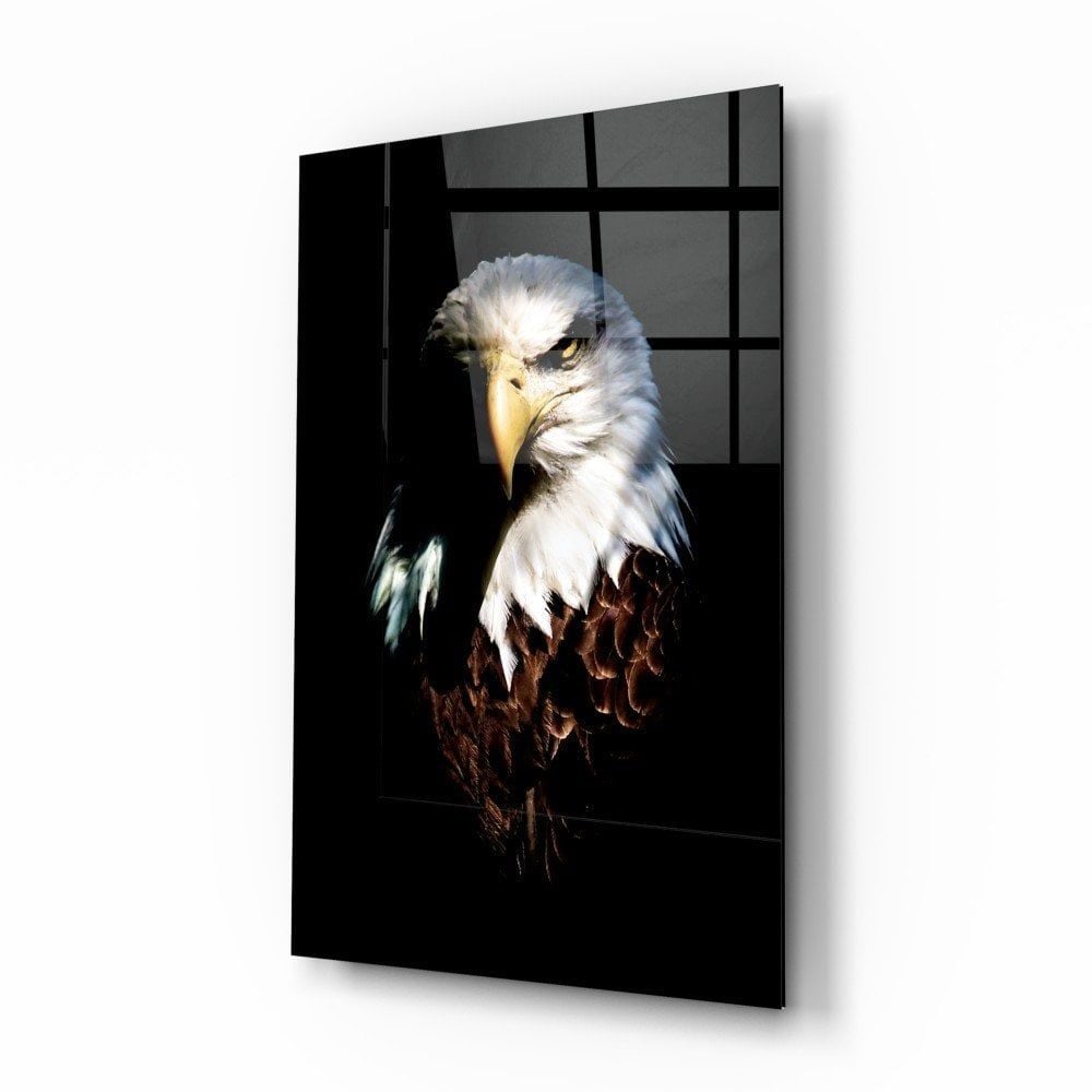 Kartal Cam Tablo No:5062