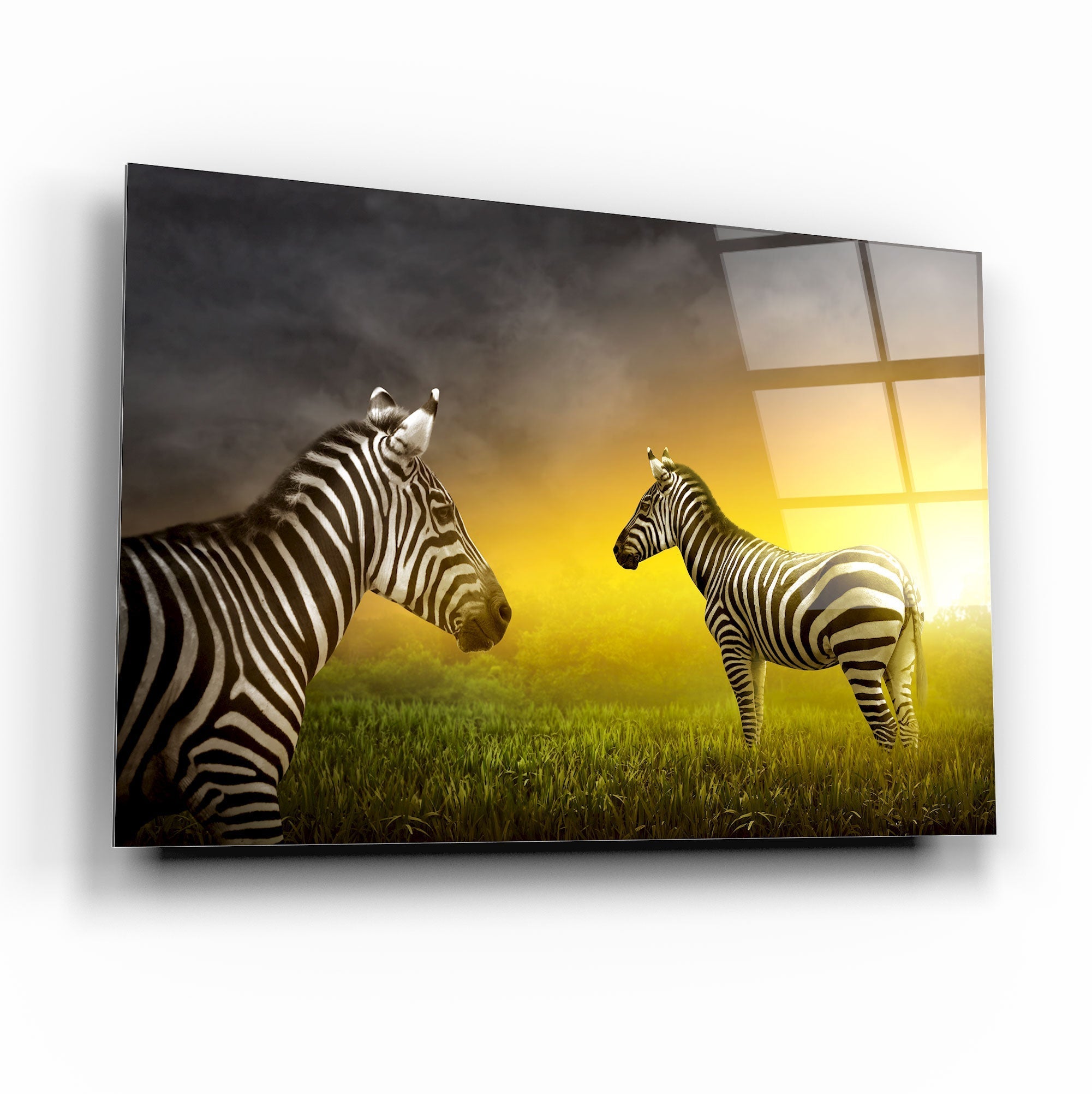 Zebra Cam Tablo