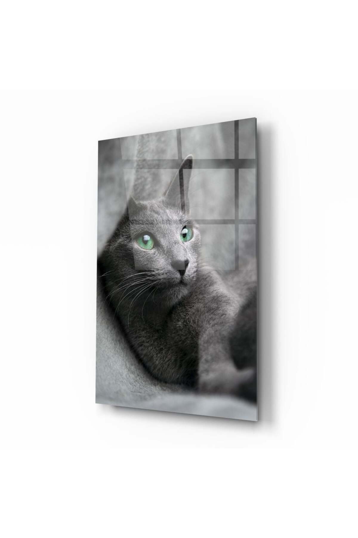 Kedi Cam Tablo | Hediyelik, Dekoratif, Ofis, Mutfak