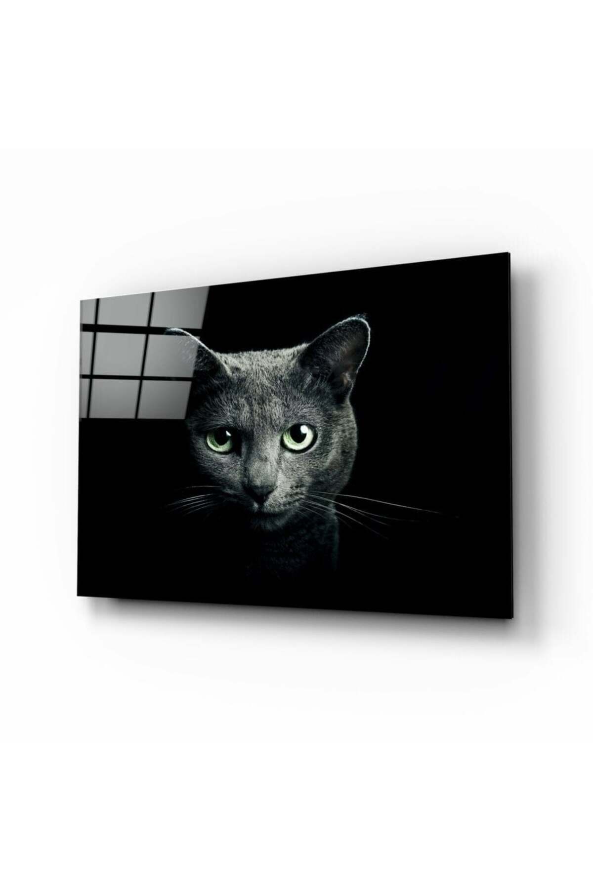 Kedi Cam Tablo | Hediyelik, Dekoratif, Ofis, Mutfak