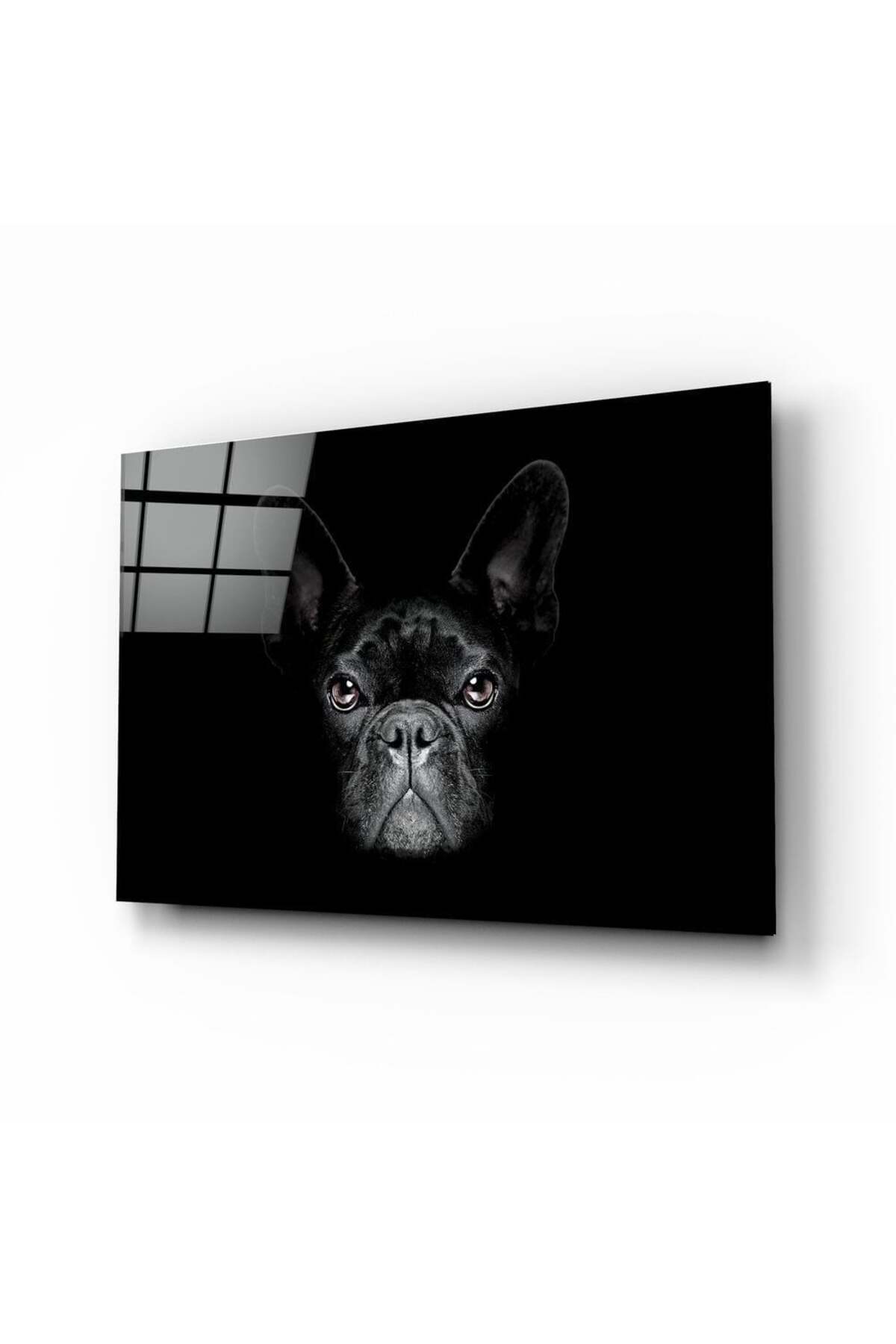 Köpek Cam Tablo | Hediyelik, Dekoratif, Ofis, Mutfak