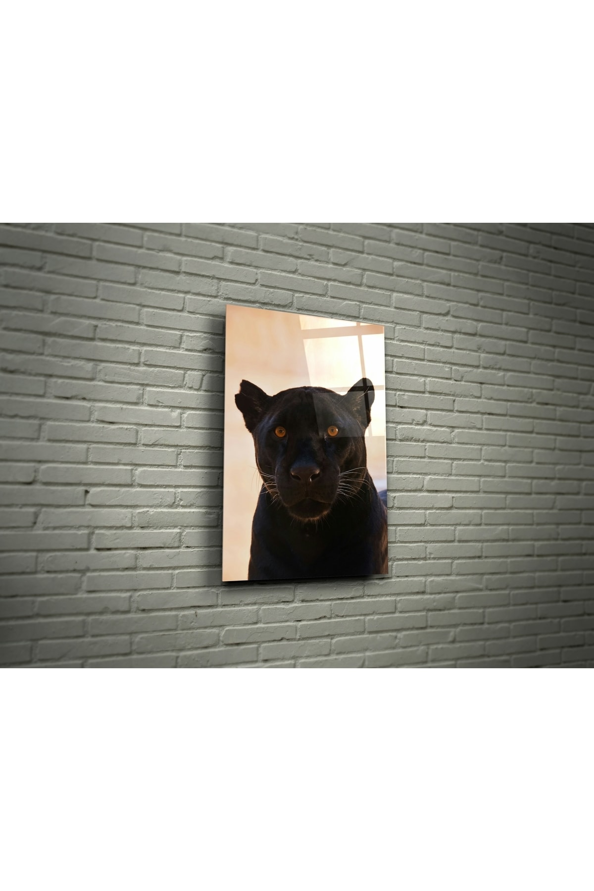Gerçek Cam Tablo Jaguar 30*45