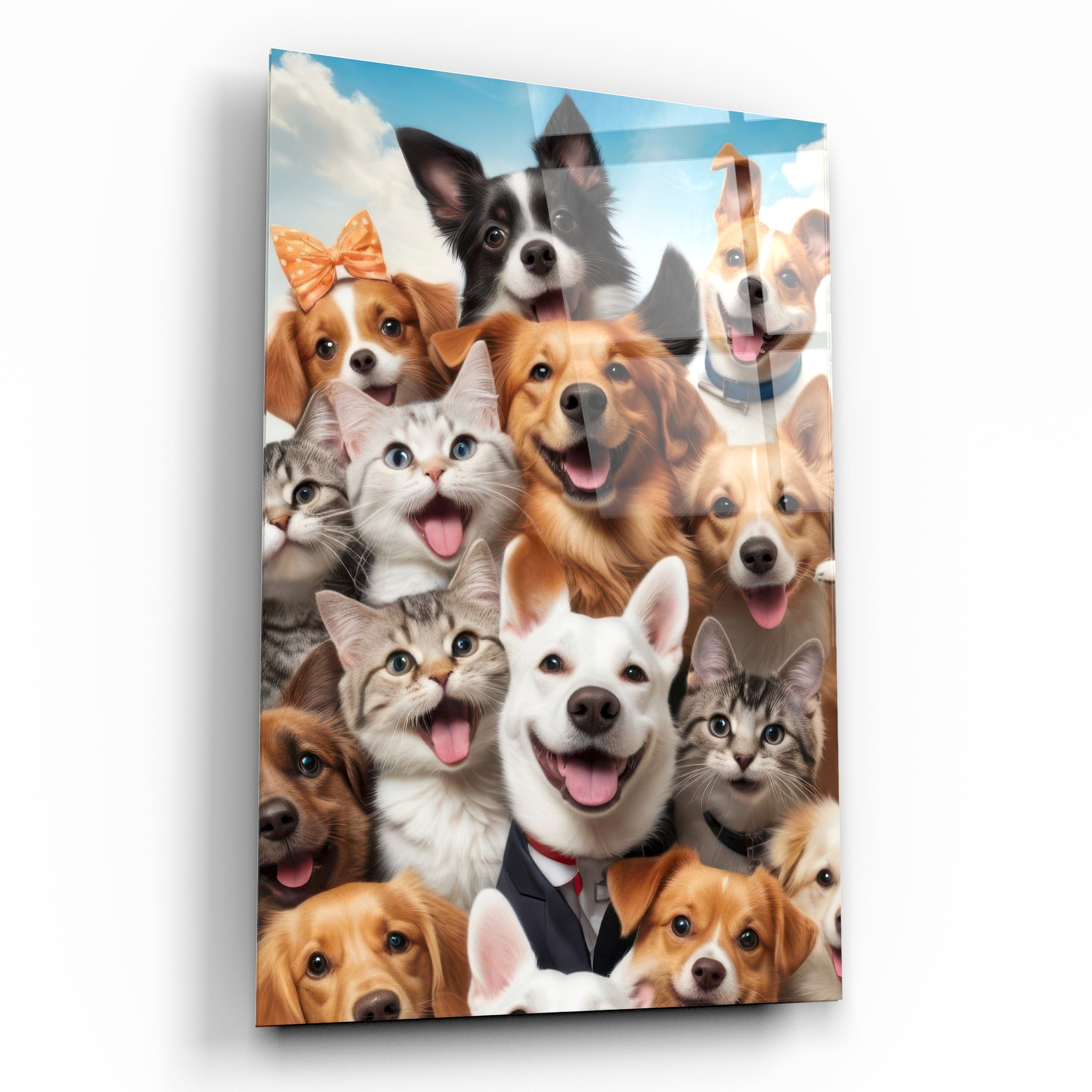 Neşeli Kedi ve Köpekler Cam Tablo